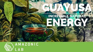 The SECRET BENEFITS of GUAYUSA  AMAZONIC LAB [upl. by Odinevneib]