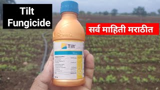 Tilt fungicide uses marathi  टिल्ट बुरशीनाशक  propiconazole 25 ec uses  a2afarmingmarathi [upl. by Aliakam]