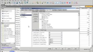 Lacerte Professional Tax Software Program Options and Settings [upl. by Notniuqal6]