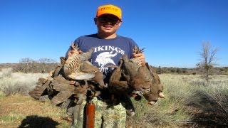 CHUKAR HUNT ON THE HIGH DESERT HUNT CLUB TEJON RANCH [upl. by Cudlip]