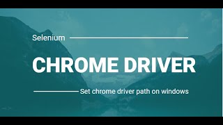 How to Set Chromedriver Path in Selenium  Install Chromedriver on Windows 10  SQA Tools [upl. by Bastian]