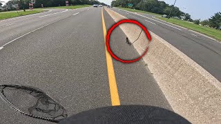 Hero Saves Kitten Running on Busy Long Island Parkway [upl. by Vinia]