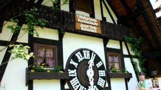 Worlds Largest Cuckoo Clock Schonach [upl. by Kall]