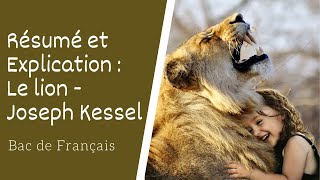 Le Lion de Joseph Kessel Résumé et explication [upl. by Adnirol]