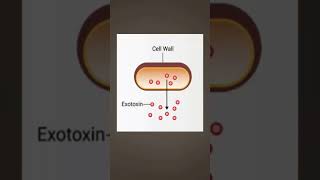 Endotoxin Exotoxin Tamil [upl. by Abeu693]