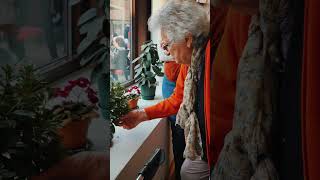 A cozy autumn afternoon with Nonna Piera 🌰🍂 Italy slowliving castagnata sweet grandma [upl. by Giarg]