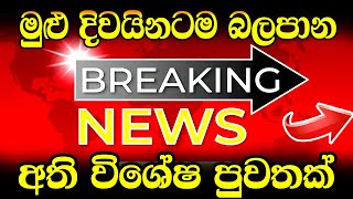 swarnavahini news today  Hiru sinhala Sri Lankan  TODAY BREAKING NEWS here is special notic [upl. by Akinot]