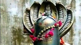 शिव चर्चा भजन ll 🙏❤️🥰🙏 ll trending shortsfeed shortsvideo Shivcharcha shivbhajan2024 vairal [upl. by Etselec]