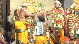 Madurai Arulmigu Meenakshi Thirukalyanam 10052014 [upl. by Rocker]