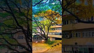 Faculty of Medicine University of Kaleniya 😍🥼🩺 medicine mbbsmotivation [upl. by Pavlish]