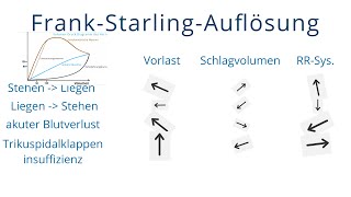 FrankStarlingMechanismus Auflösung [upl. by Aya]