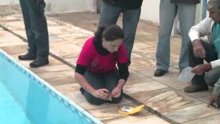 Curso Tratamento Básico para Piscinas Parte5 [upl. by Reamy]