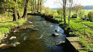 Bachgeflüster  Sounds of Nature  Lausche dem leisen Geplätscher eines Baches  Naturgeräusche [upl. by Einattirb]