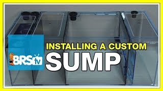 Week 3 Sumps  What do they do and which should you select  52 Weeks of Reefing [upl. by Grosberg]