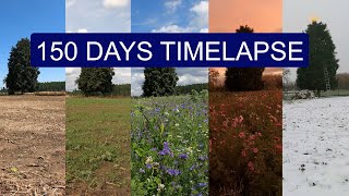 We sowed a WILDFLOWER MEADOW  150 days Start to Finish TIMELAPSE [upl. by Atalanta]