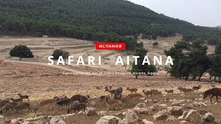 В мире животных парка СафариАйтана провинция Аликанте Испания SafariAitana [upl. by Hagerman534]