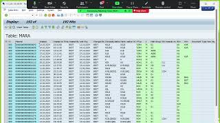 B20 CL21 Text Tables in SAP Part 1 [upl. by Inahteb315]