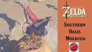 Southern Oasis  Molduga  Breath of the Wild [upl. by Thorma992]