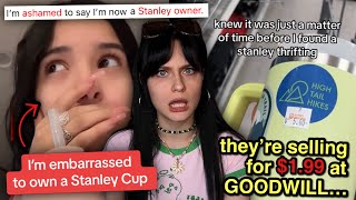 The Rapid Downfall of The Stanley Cup [upl. by Beaufert]