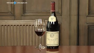 Louis Jadot Couvent des Jacobins Pinot Noir 2015 wine review [upl. by Gamber403]