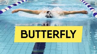 BUTTERFLY SWIMMING HOW TO SWIM SMOOTHLY STEPBYSTEP GUIDE [upl. by Tik]