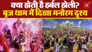 Holi 2024 Brij धाम में खेली गयी अनूठी Herbal Holi Lord Krishna की भक्ति में झूमे श्रद्धालु [upl. by Florance]