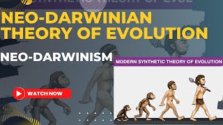 NeoDarwinian theory of evolutionModern synthetic theory of evolution  NeoDarwinism for MScBsc [upl. by Eldoria349]