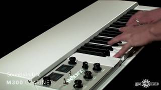 Mellotron M4000D Mini [upl. by Panta585]