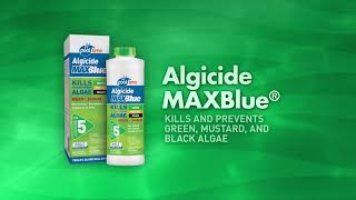 STEP 5 – ALGICIDE Pool Time® [upl. by Ardyce568]