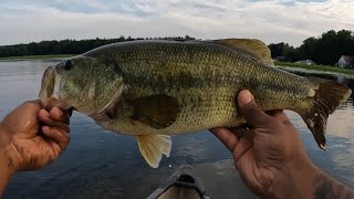 Whopper Plopper Catching Huge Bass [upl. by Lihp]