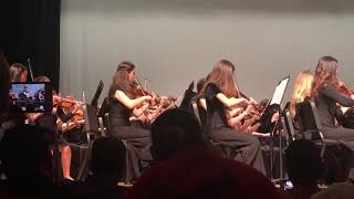 Hoedown All County Orchestra February 2 2019 [upl. by Suckow855]