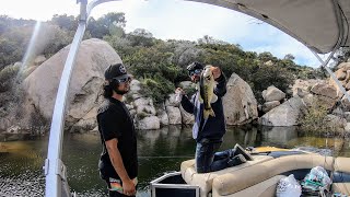 Fishing and Tacos On A Pontoon Boat For My Birthday [upl. by Occer172]