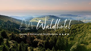 4 Sterne Wellnesshotel im Schwarzwald ★★★★  Waldhotel am Notschreipass [upl. by Siusan]