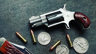 NAA Mini Revolver 22LR  Long Term Review  Shooting amp Carry [upl. by Jobina745]