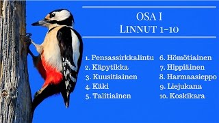 100 Suomalaista Lintua Osa 1 Linnut 110 [upl. by Irej]