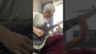 Polyphia Playing God polyphia dingwall quadcortex [upl. by Channa499]