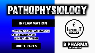 Inflammation  Mechanism Of Inflammation  Types Of Inflammation  Pathophysiology  B Pharma [upl. by Kendricks93]