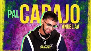 Pal Carajo  Anuel AA  2019 [upl. by Amliw]