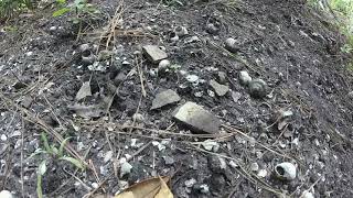 Indian Mound at Lower Wekiva Preserve [upl. by Minna487]