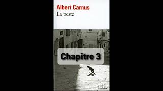 3  La peste de Camus  Chapitre 3  livre audio [upl. by Lamp]