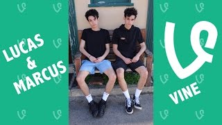 Lucas and Marcus NEW Vines 2016  Vine Compilation [upl. by Anatolio]