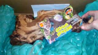 Pt 2 Mopani Driftwood Unboxing  Drs Foster amp Smith Aquarium Supplies [upl. by Jonna25]