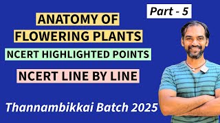 Anatomy of Flowering Plants in Tamil  Part 5  NCERT Line by line  TB 2025 [upl. by Hajidak]