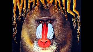 Mandrill  Rollin On [upl. by Dunston]