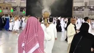 Bakar Dupa Gaharu wangi di Kabah [upl. by Ainit]