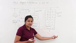 Block Diagram amp Architecture Of 8085 Microprocessor [upl. by Domini]