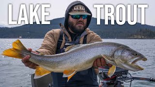 Catching GIANT Lake Trout in Montana  ANYFIN GOES [upl. by Ashla960]