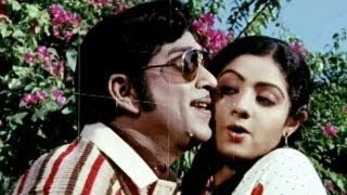 Premabhishekam Songs  Na Kallu Cheputunnayi  ANR Sridevi  HD [upl. by Nylanna877]