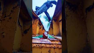 Money Heist Parkour Vs Police  210 bubblesgangzbubblesmotion moneyheistparkour policeshorts [upl. by Ynaffets928]