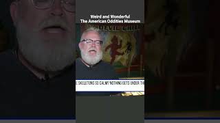 Touring the American Oddities Museum weird weirdandwonderful [upl. by Greenberg536]